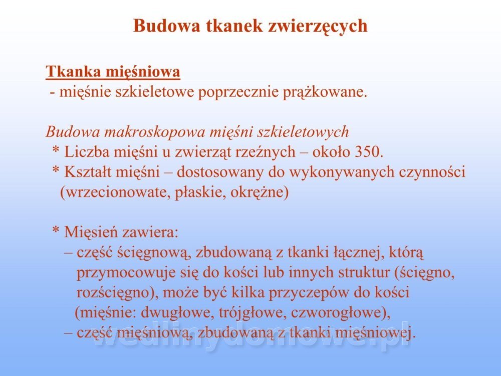 Jakość i bezpieczństwo przetw mięsnych i mięsa_122.jpg