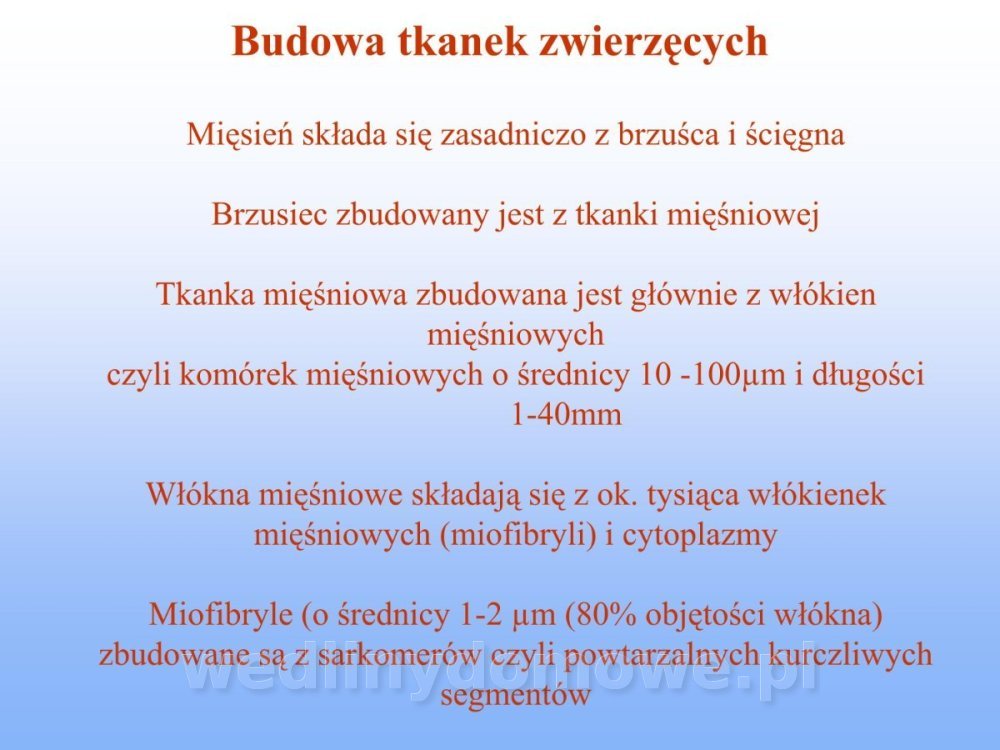 Jakość i bezpieczństwo przetw mięsnych i mięsa_123.jpg