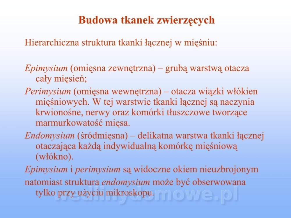 Jakość i bezpieczństwo przetw mięsnych i mięsa_125.jpg