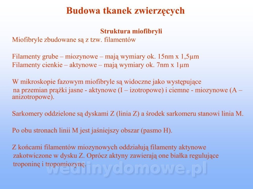 Jakość i bezpieczństwo przetw mięsnych i mięsa_133.jpg