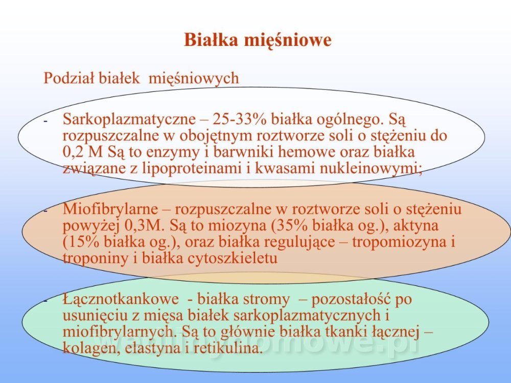 Jakość i bezpieczństwo przetw mięsnych i mięsa_136.jpg