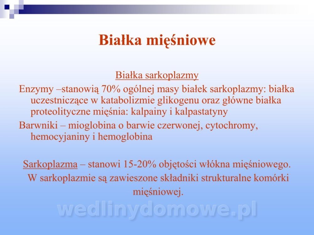 Jakość i bezpieczństwo przetw mięsnych i mięsa_137.jpg