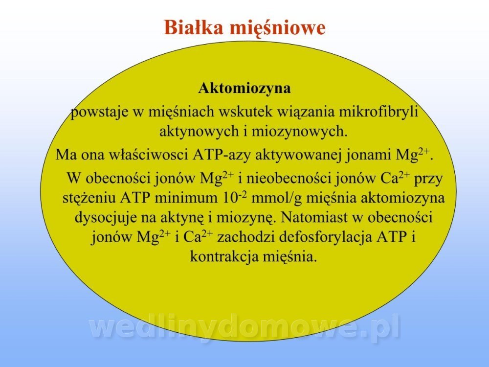 Jakość i bezpieczństwo przetw mięsnych i mięsa_142.jpg