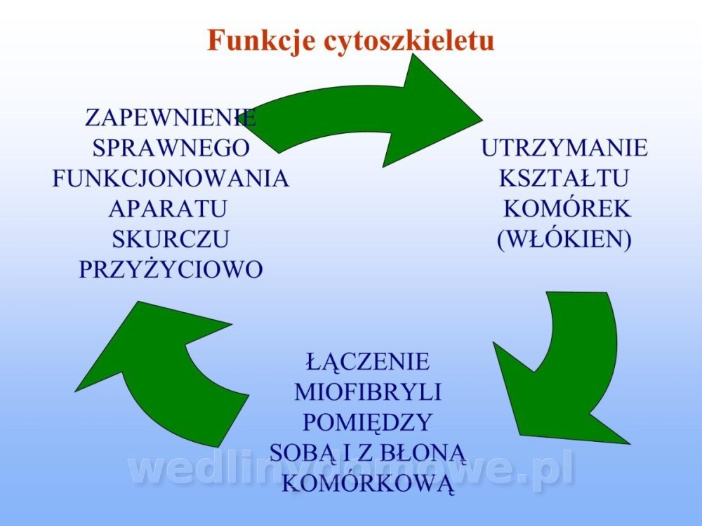 Jakość i bezpieczństwo przetw mięsnych i mięsa_143.jpg