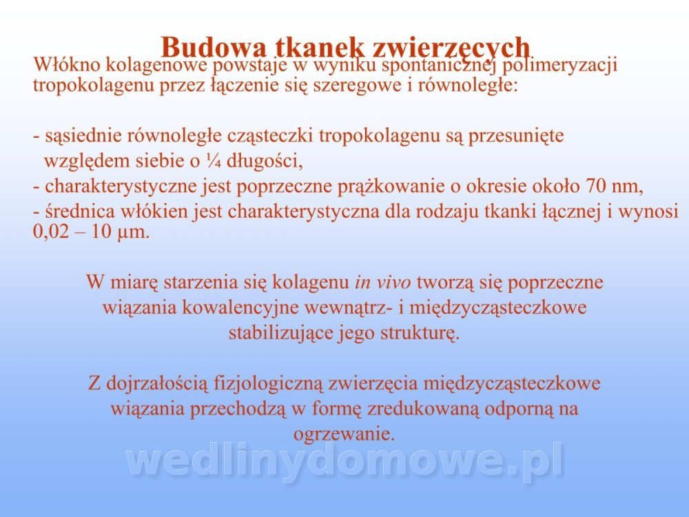 Jakość i bezpieczństwo przetw mięsnych i mięsa_151.jpg