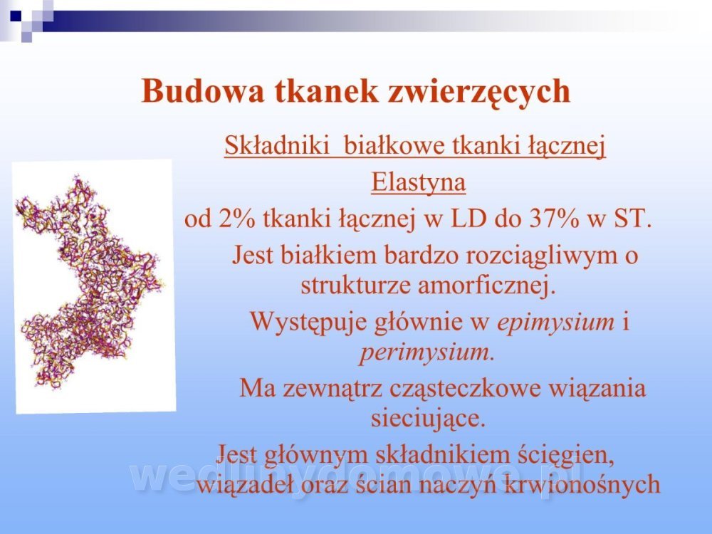Jakość i bezpieczństwo przetw mięsnych i mięsa_155.jpg