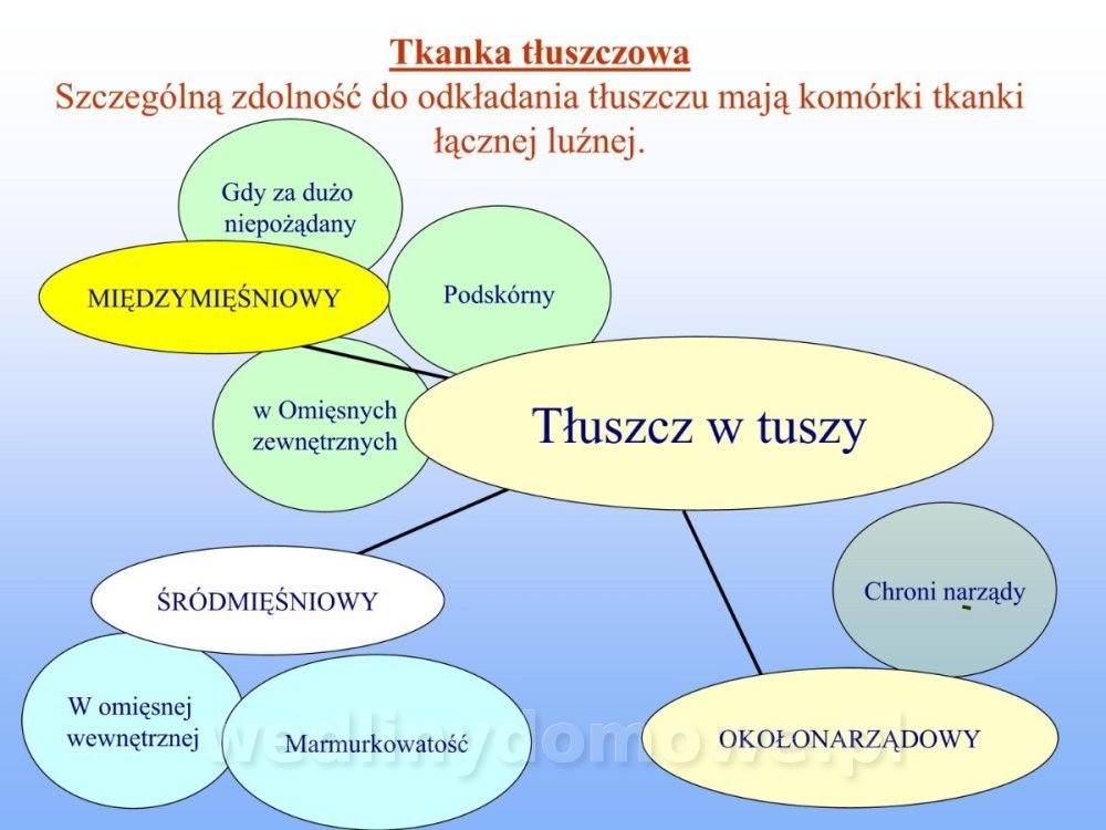 Jakość i bezpieczństwo przetw mięsnych i mięsa_159.jpg