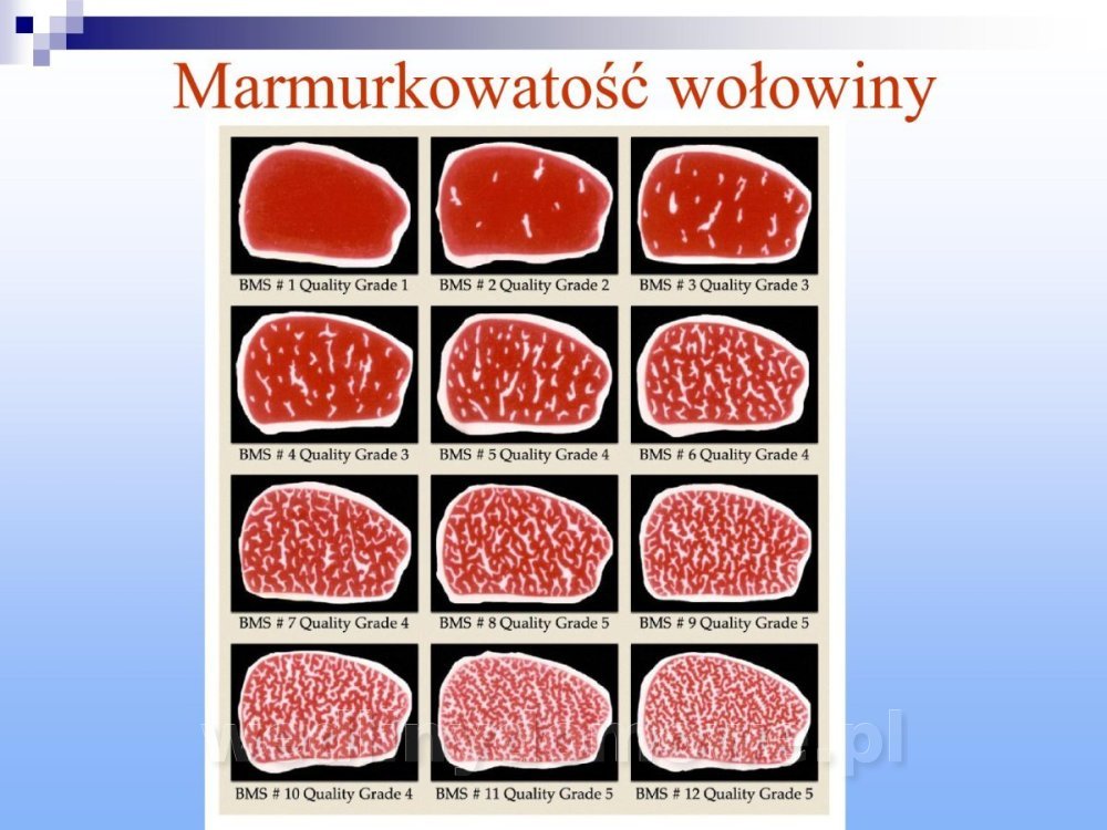 Jakość i bezpieczństwo przetw mięsnych i mięsa_160.jpg