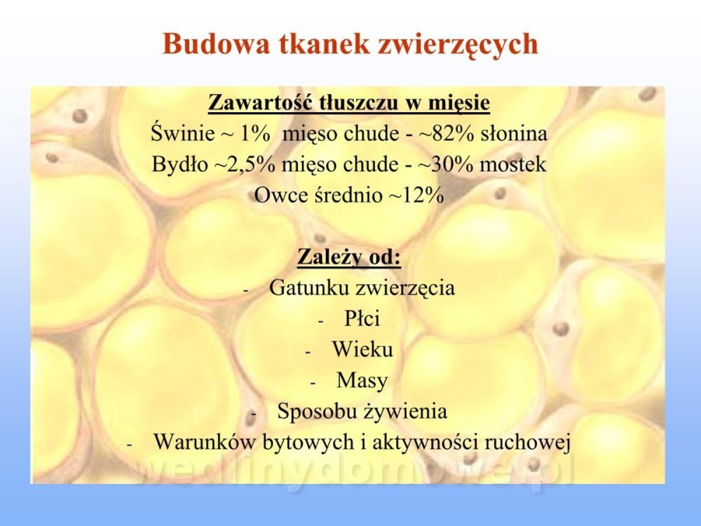 Jakość i bezpieczństwo przetw mięsnych i mięsa_161.jpg