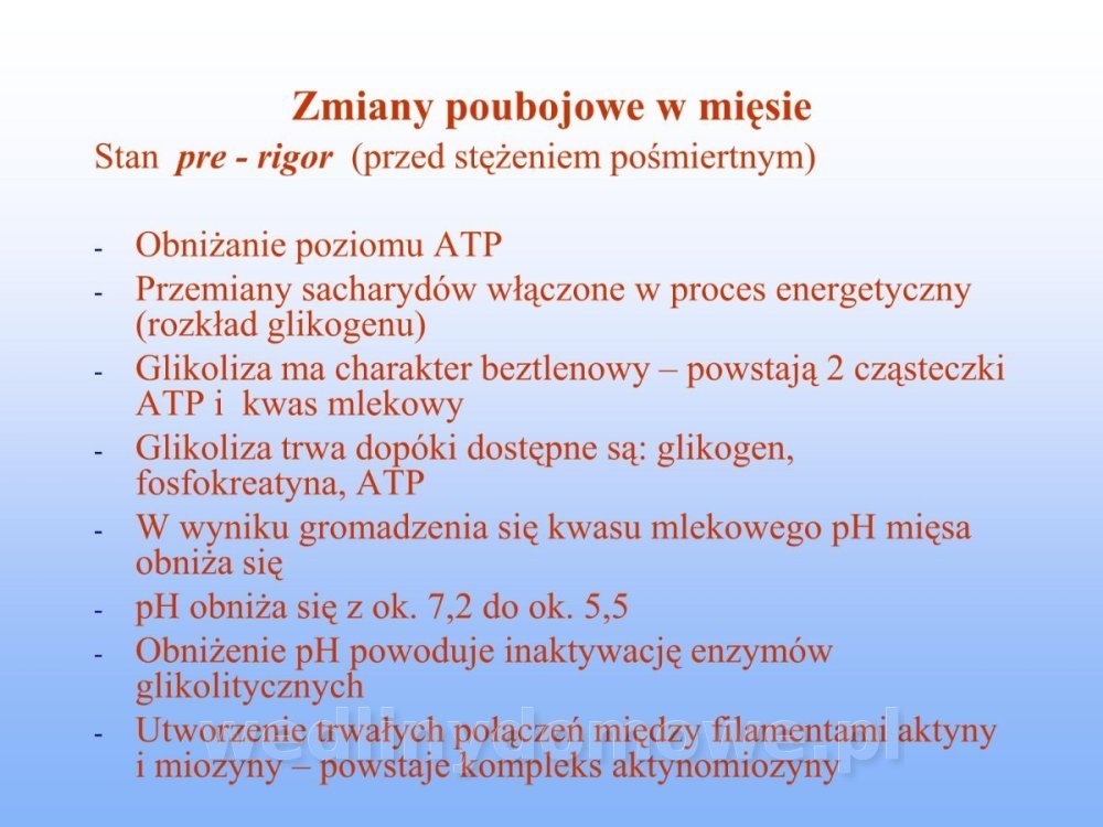 Jakość i bezpieczństwo przetw mięsnych i mięsa_177.jpg