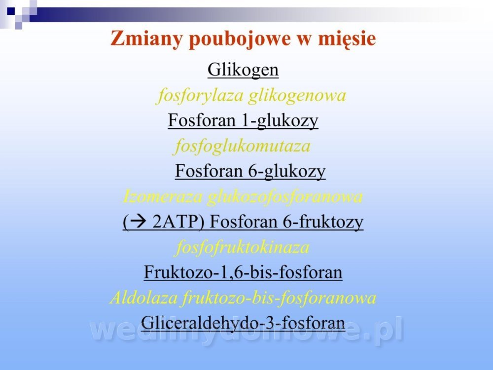 Jakość i bezpieczństwo przetw mięsnych i mięsa_178.jpg