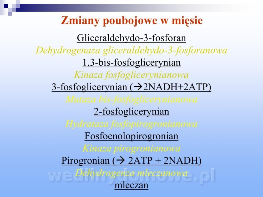 Jakość i bezpieczństwo przetw mięsnych i mięsa_179.jpg