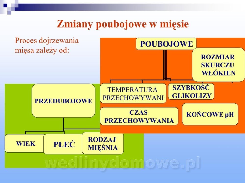 Jakość i bezpieczństwo przetw mięsnych i mięsa_186.jpg