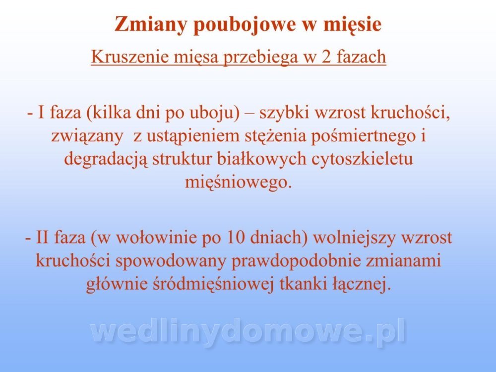 Jakość i bezpieczństwo przetw mięsnych i mięsa_187.jpg
