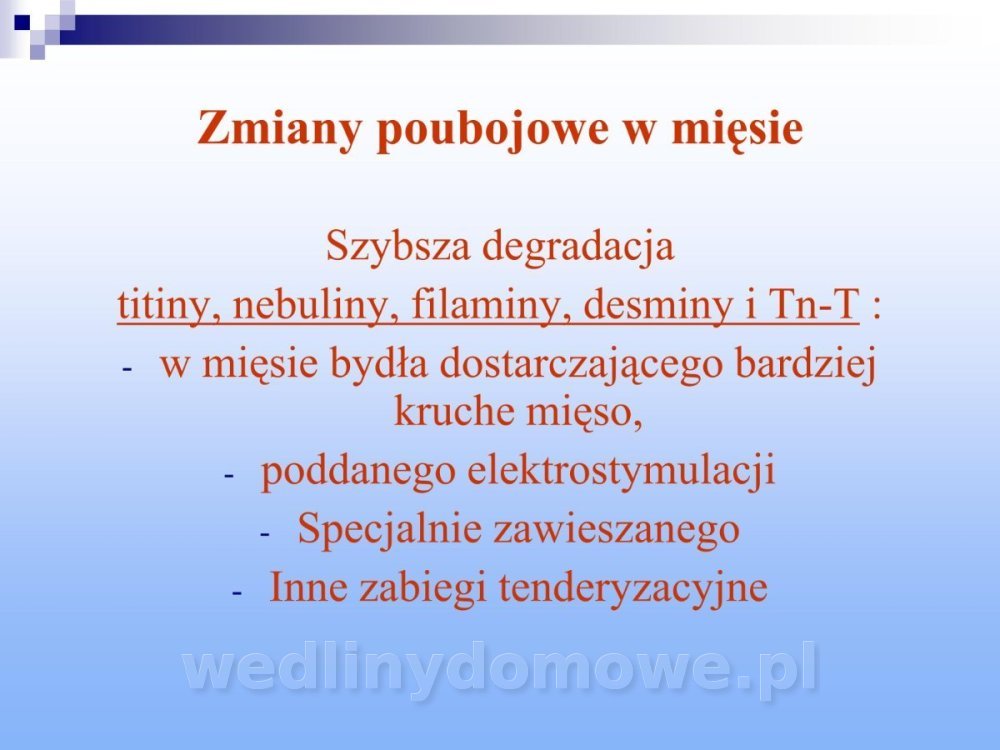Jakość i bezpieczństwo przetw mięsnych i mięsa_189.jpg
