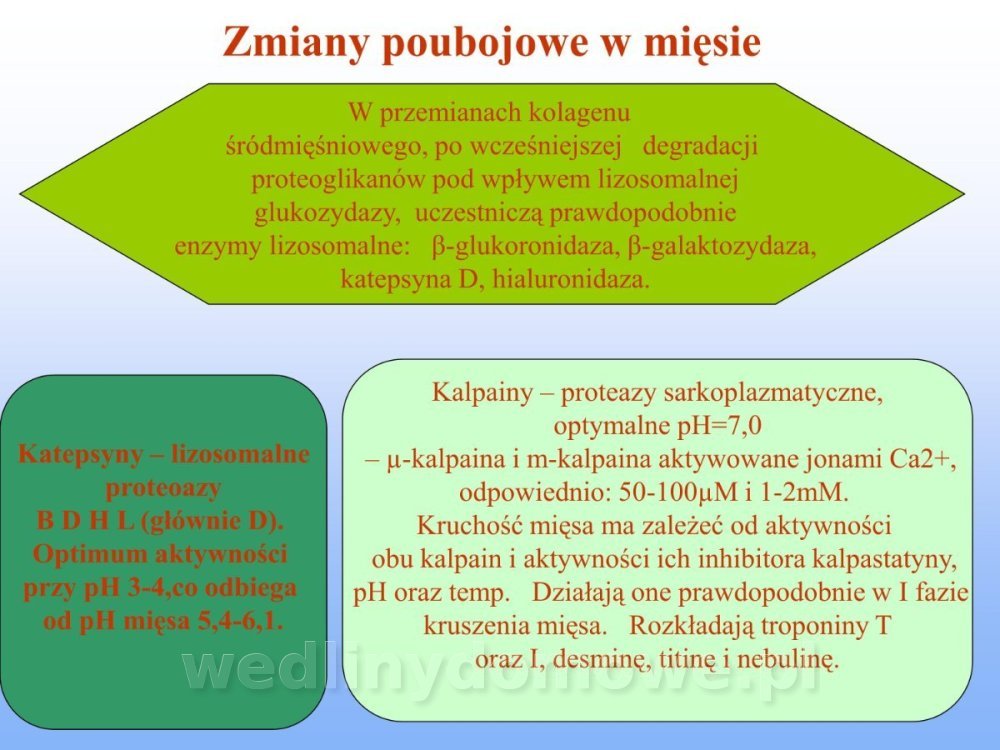 Jakość i bezpieczństwo przetw mięsnych i mięsa_190.jpg