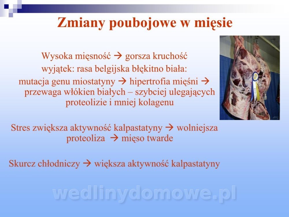 Jakość i bezpieczństwo przetw mięsnych i mięsa_192.jpg