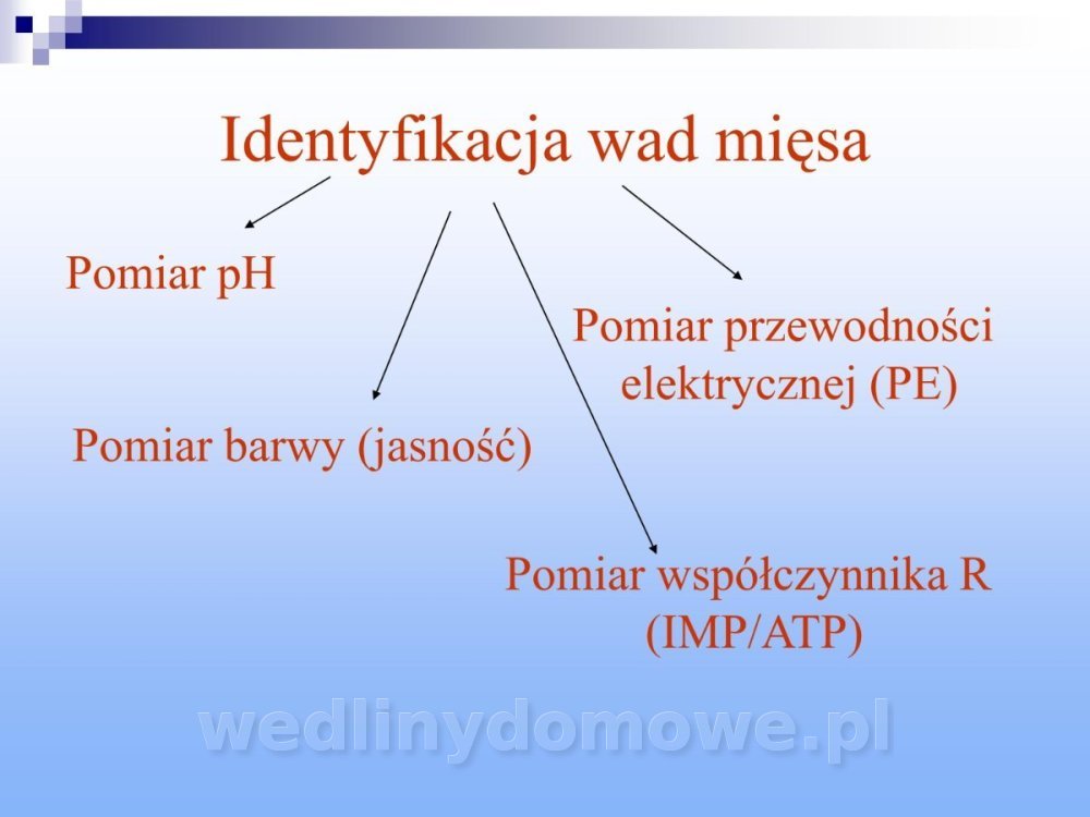 Jakość i bezpieczństwo przetw mięsnych i mięsa_197.jpg