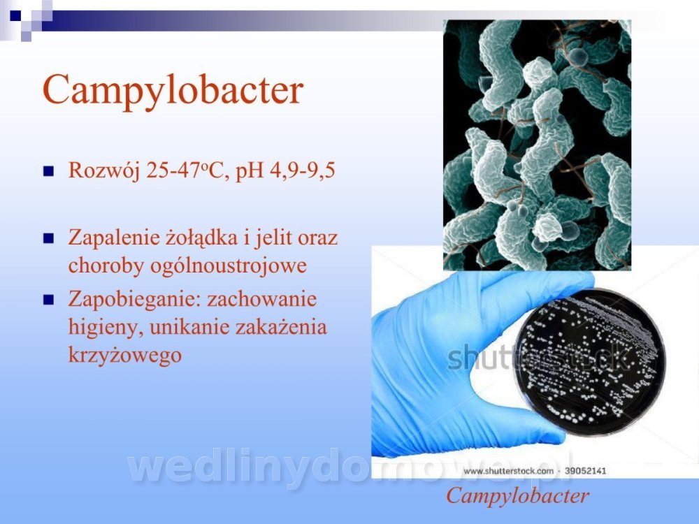 Jakość i bezpieczństwo przetw mięsnych i mięsa_205.jpg