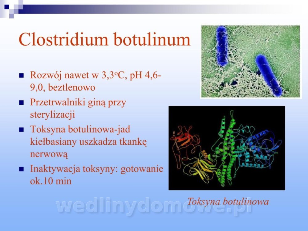 Jakość i bezpieczństwo przetw mięsnych i mięsa_206.jpg