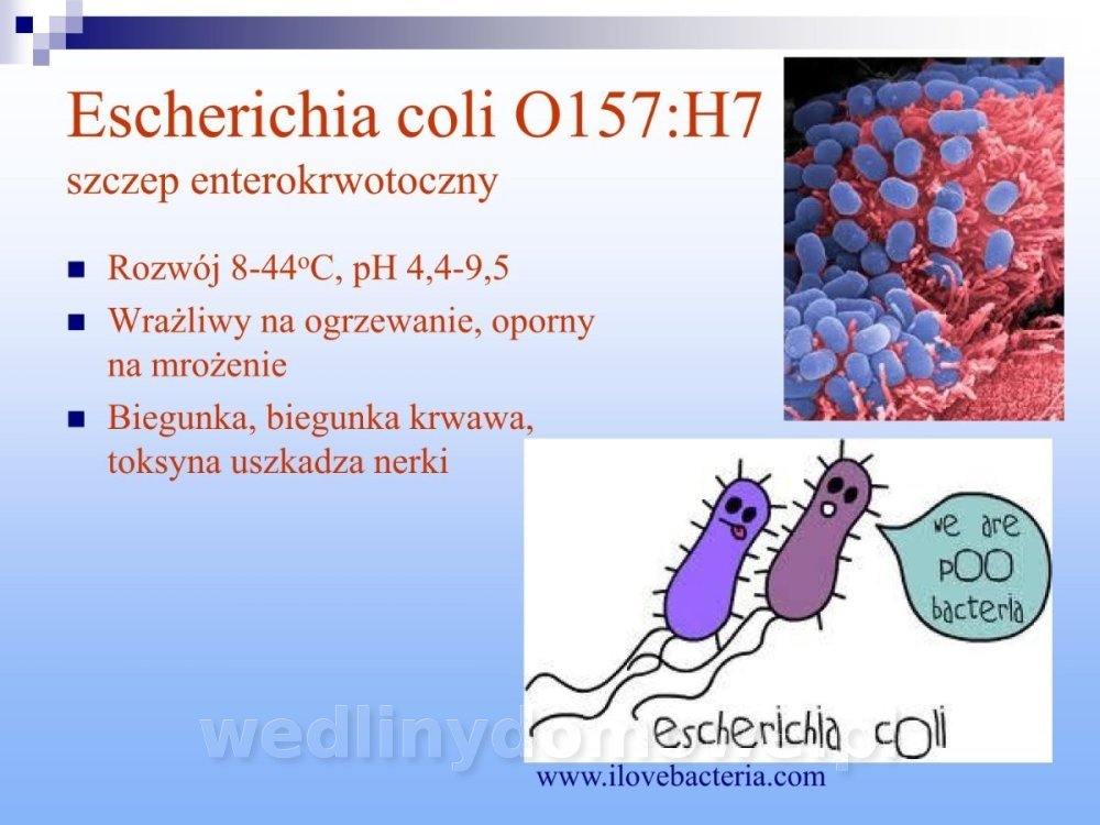Jakość i bezpieczństwo przetw mięsnych i mięsa_207.jpg