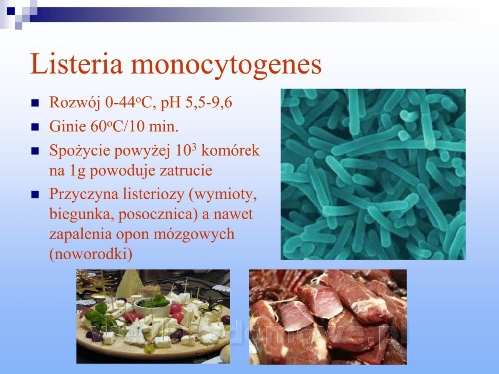 Jakość i bezpieczństwo przetw mięsnych i mięsa_208.jpg