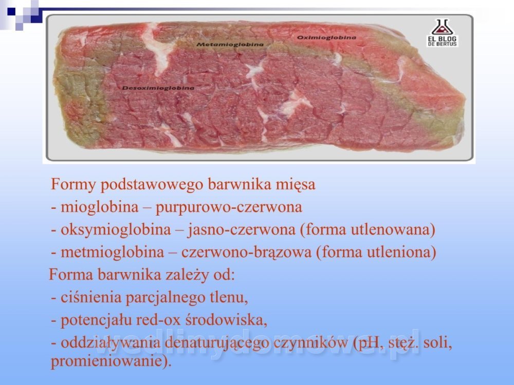 Jakość i bezpieczństwo przetw mięsnych i mięsa_219.jpg