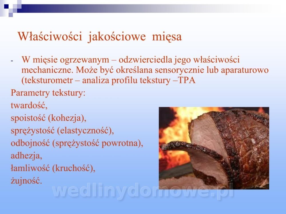 Jakość i bezpieczństwo przetw mięsnych i mięsa_229.jpg