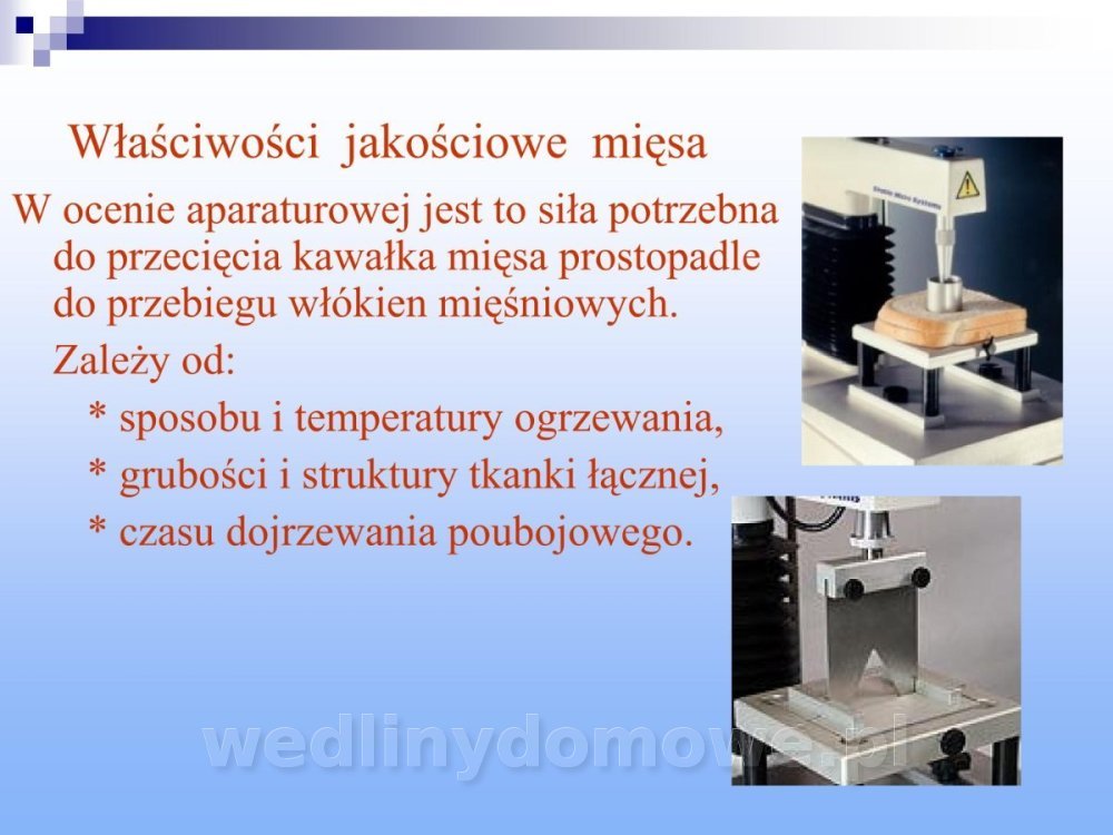Jakość i bezpieczństwo przetw mięsnych i mięsa_232.jpg
