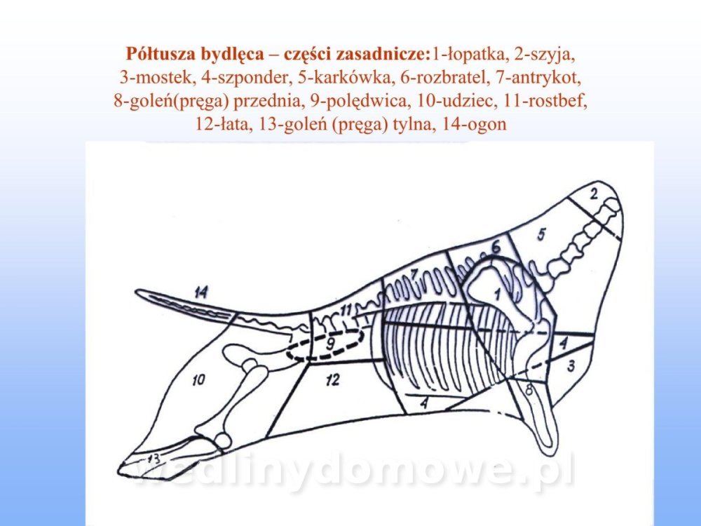 Jakość i bezpieczństwo przetw mięsnych i mięsa_243.jpg