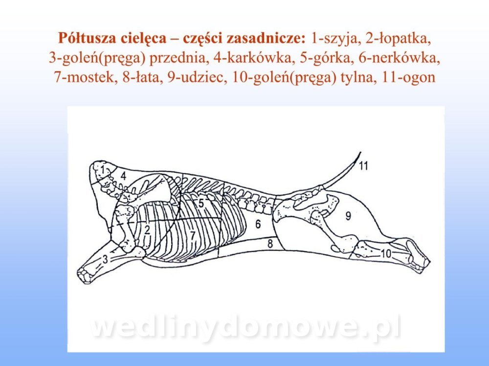 Jakość i bezpieczństwo przetw mięsnych i mięsa_245.jpg