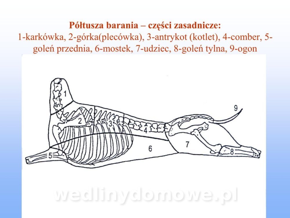 Jakość i bezpieczństwo przetw mięsnych i mięsa_247.jpg