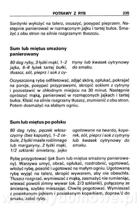 Kuchnia turystyczna_232.jpg