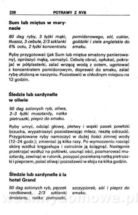 Kuchnia turystyczna_233.jpg