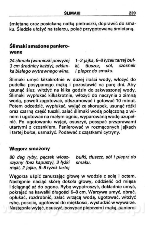 Kuchnia turystyczna_236.jpg