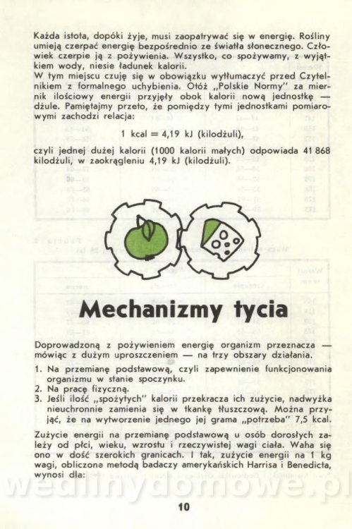Potrawy niskokaloryczne_012.jpg