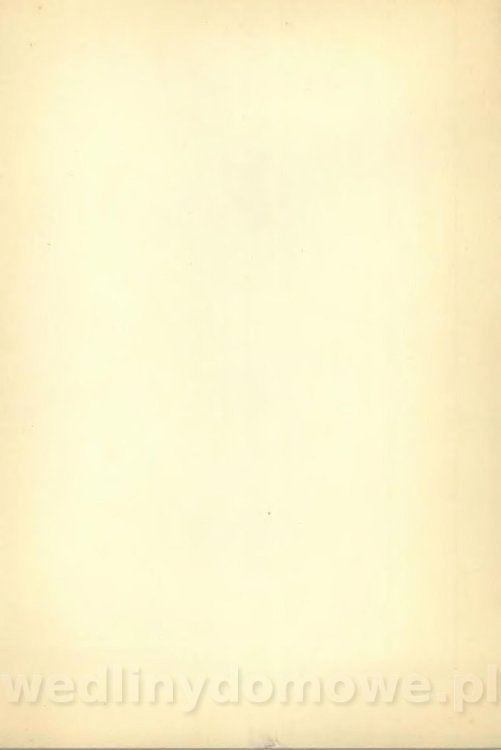 Potrawy z szybkowaru 1988_163.jpg