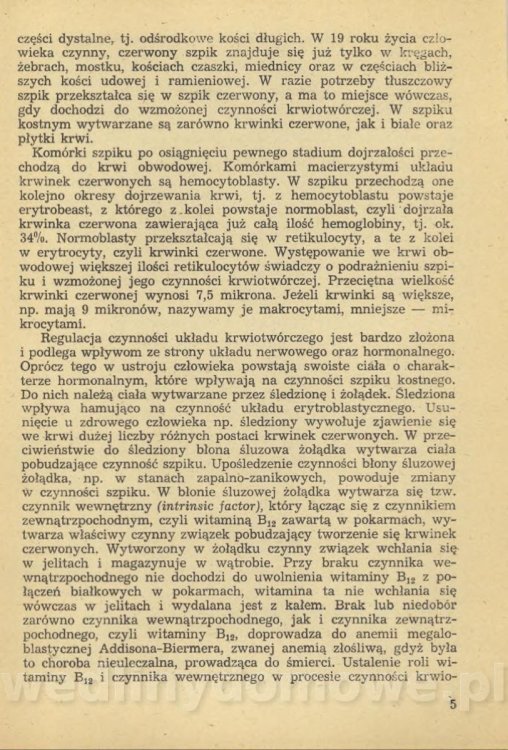 Sposób na anemię czyli żywienie w niedokrwistości_008.jpg