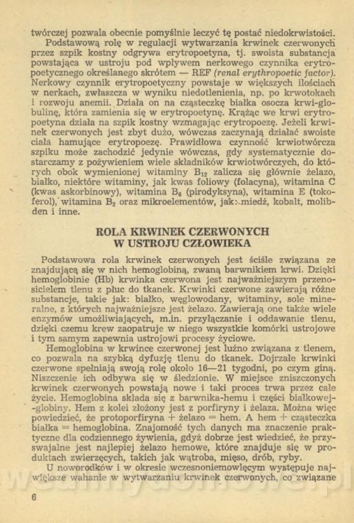Sposób na anemię czyli żywienie w niedokrwistości_009.jpg