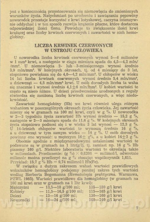 Sposób na anemię czyli żywienie w niedokrwistości_010.jpg