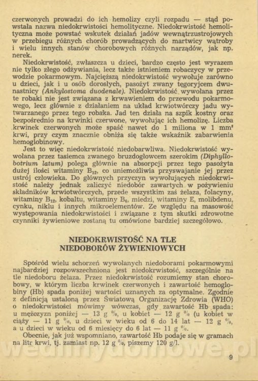 Sposób na anemię czyli żywienie w niedokrwistości_012.jpg