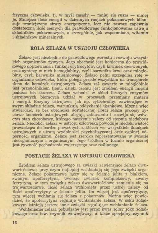 Sposób na anemię czyli żywienie w niedokrwistości_019.jpg