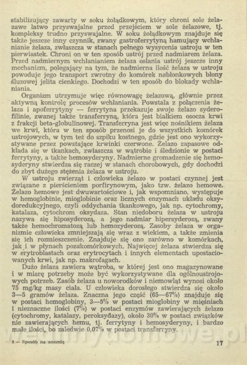 Sposób na anemię czyli żywienie w niedokrwistości_020.jpg