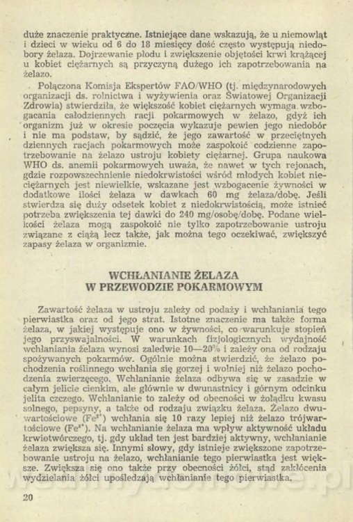 Sposób na anemię czyli żywienie w niedokrwistości_023.jpg