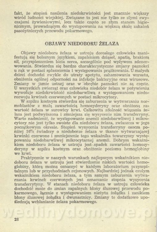 Sposób na anemię czyli żywienie w niedokrwistości_031.jpg