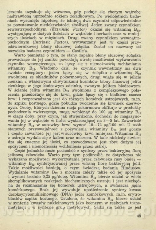 Sposób na anemię czyli żywienie w niedokrwistości_048.jpg