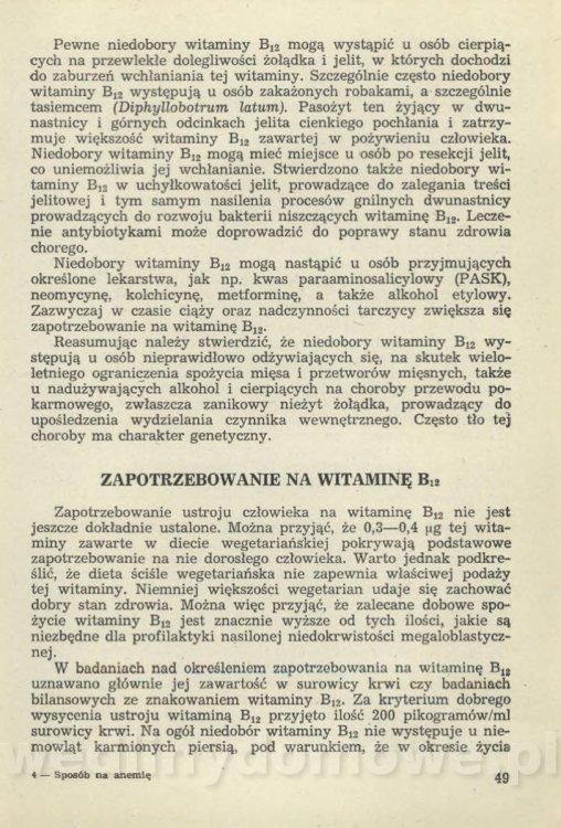Sposób na anemię czyli żywienie w niedokrwistości_052.jpg