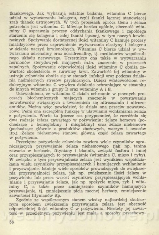 Sposób na anemię czyli żywienie w niedokrwistości_059.jpg