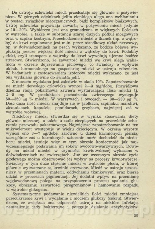 Sposób na anemię czyli żywienie w niedokrwistości_062.jpg