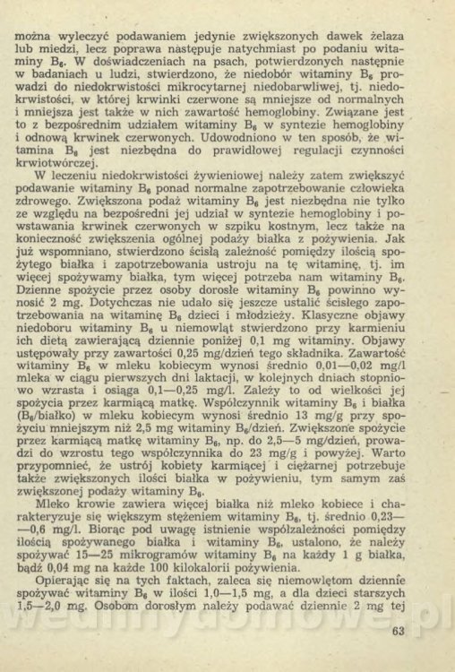 Sposób na anemię czyli żywienie w niedokrwistości_066.jpg